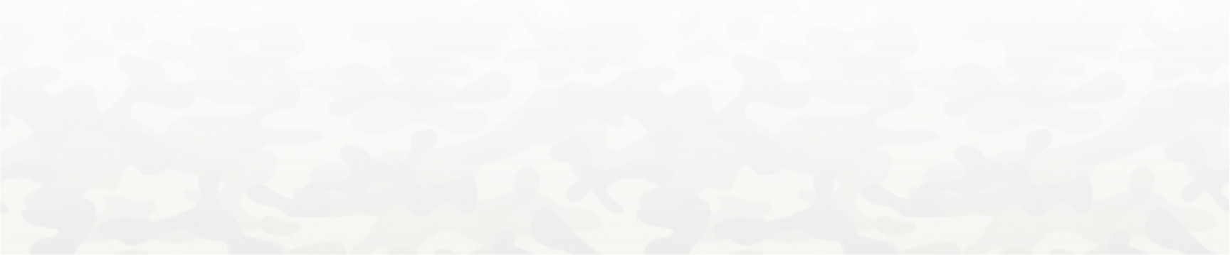 bg footer